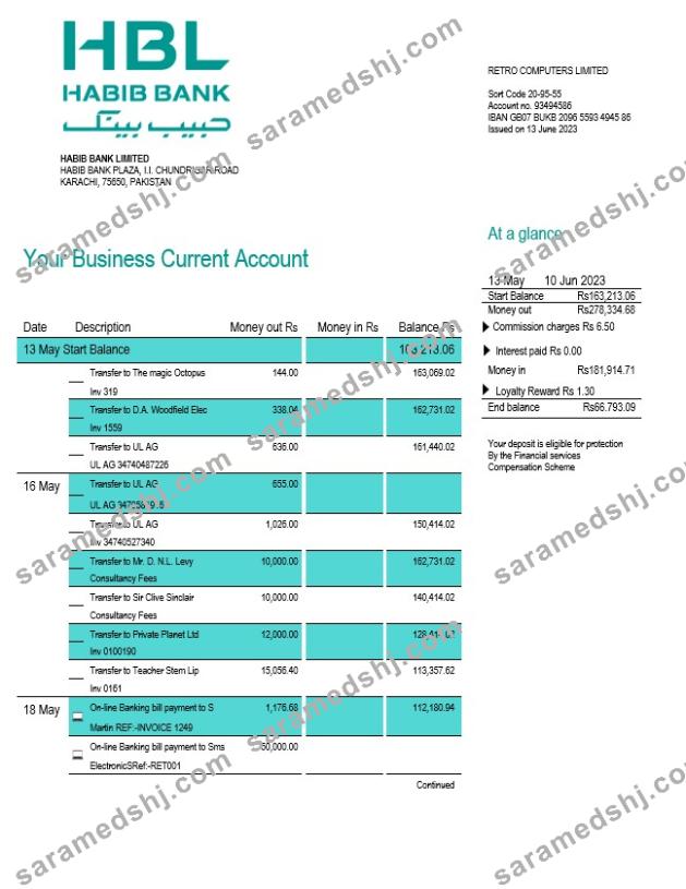 HBL Bank firm account statement Word and PDF template